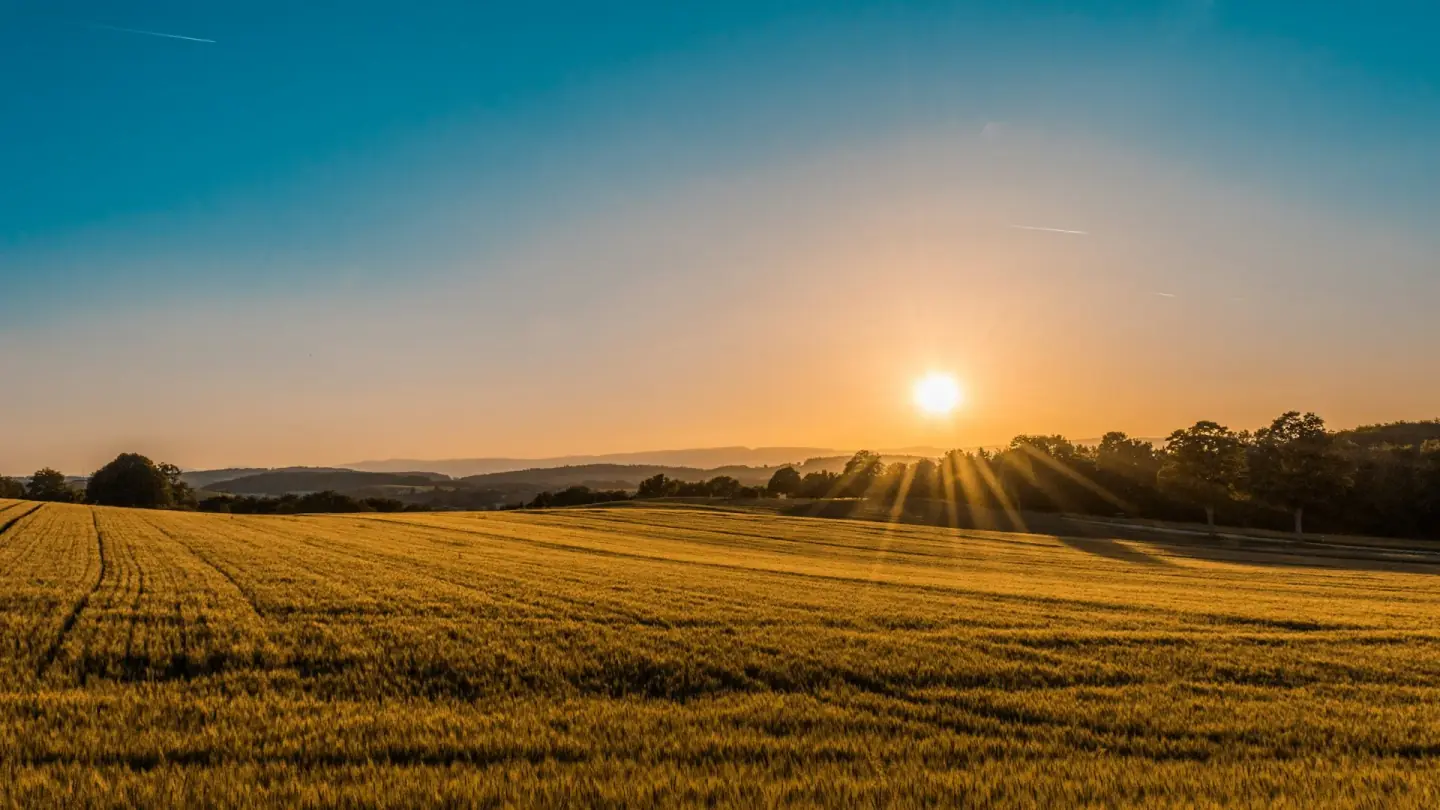 Paisaje de crecimiento agrícola